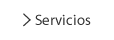 Servicios